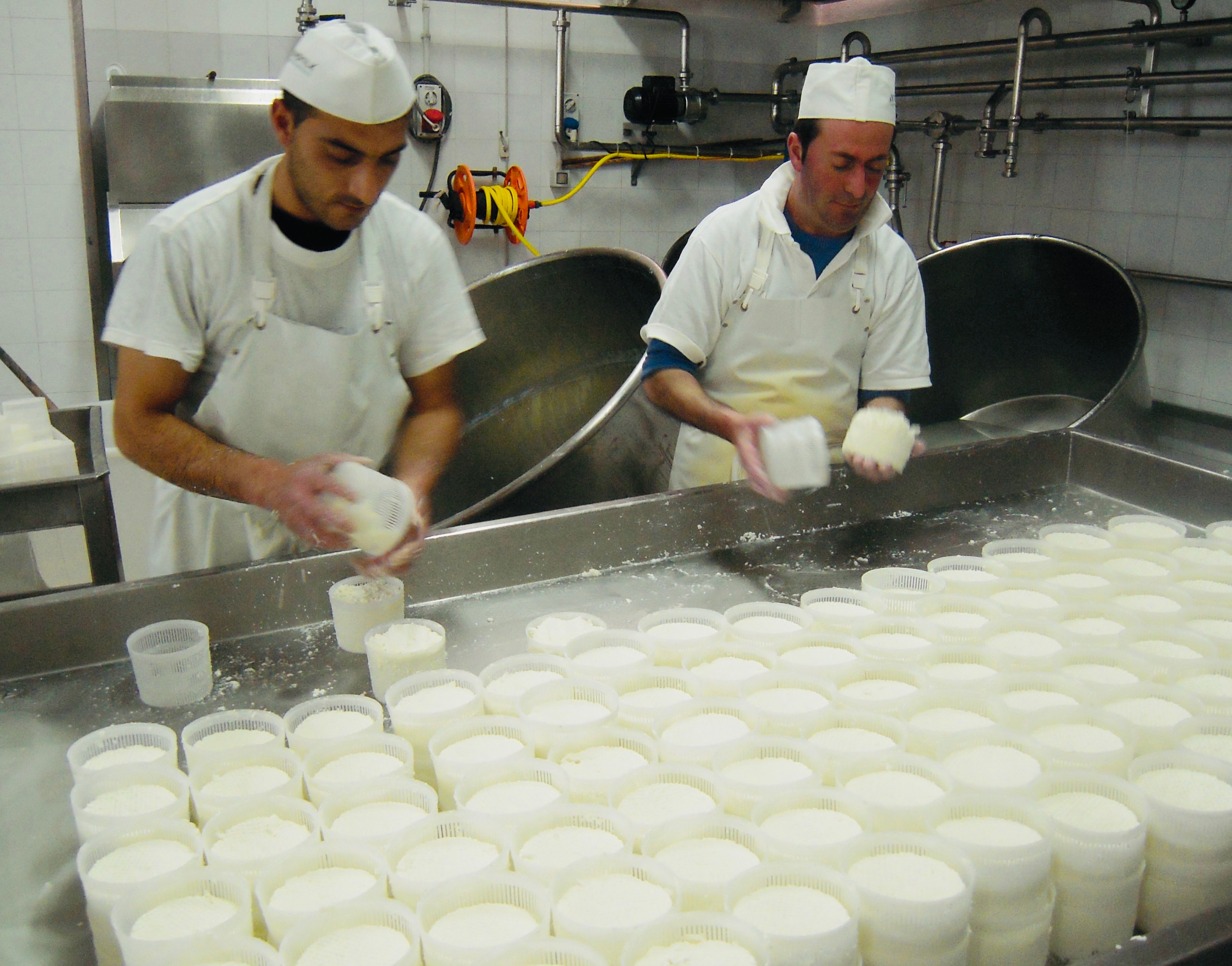 DAY 4 - BURRATA & TRULLI HOUSES