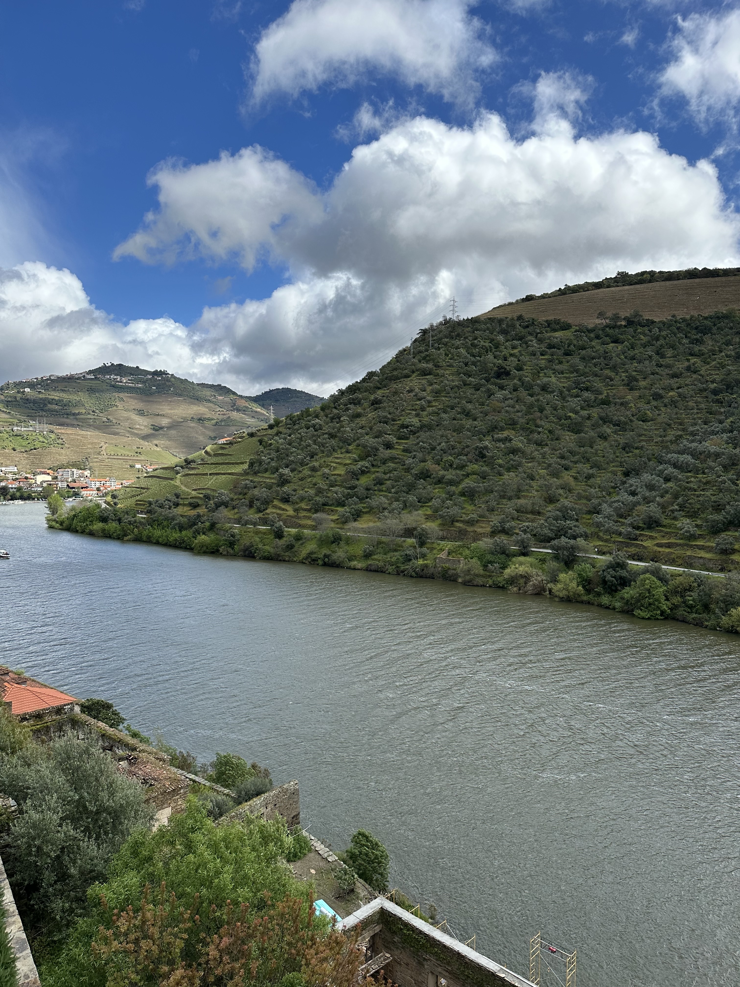 Day 5 - DOURO VALLEY/ LAMEGO 
