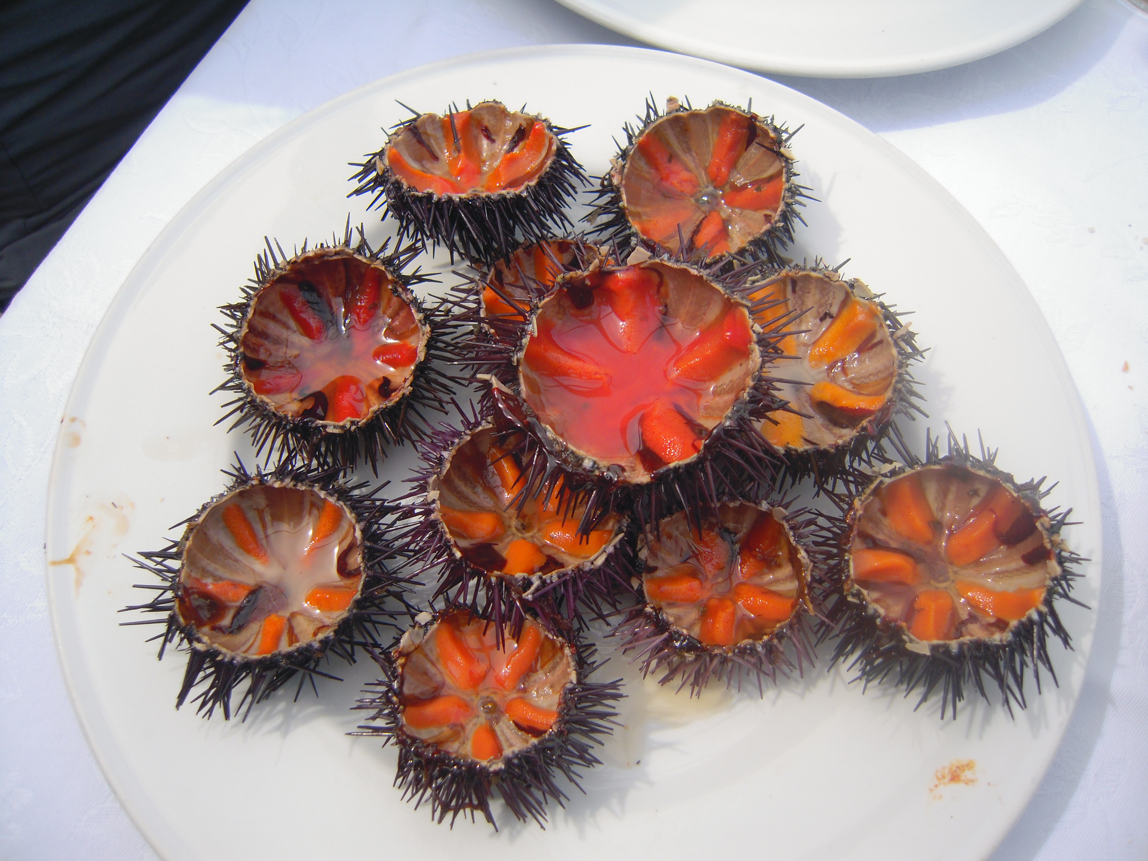 DAY 8 - SEAFOOD MARKET TOUR & PRIVATE COOKING LESSON IN GALLIPOLI